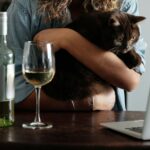 Katzen & Alkohol