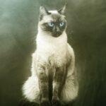 Katze und Rauchen